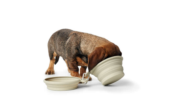 HUNTER Silikon-Reisenapf List